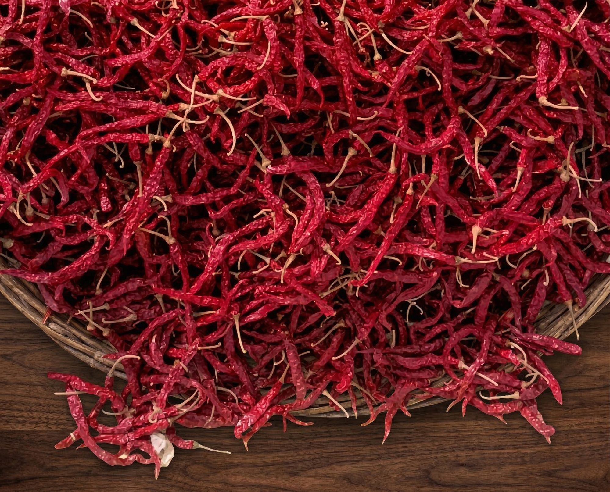 Syngenta Hybrid Red Chilli